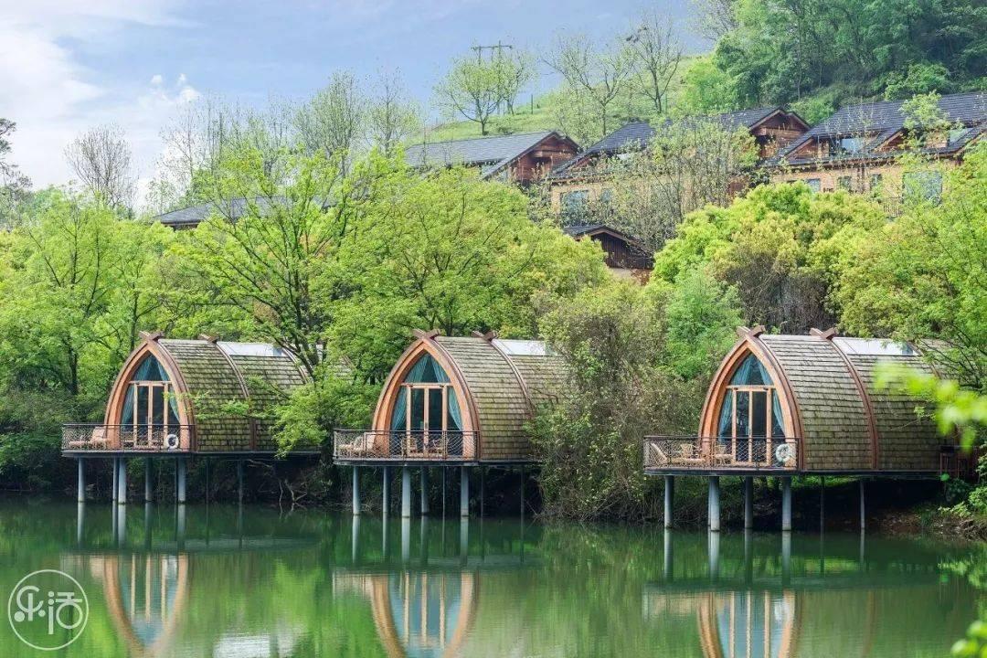 冷知识分享平台大学生为什么选择延迟毕业?,揭秘生活中的冷知识